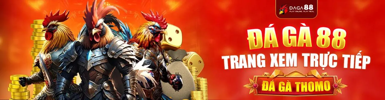 Câu hỏi thường gặp về newba5 slot game